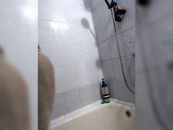 HATPAXAHA webcam bongacams model stream image