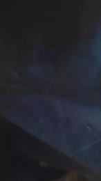 Pollonazo webcam model stream image