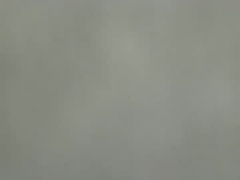 palaustudio webcam model stream image