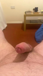 picassosparrot3 webcam model stream image