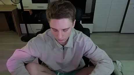 pvlpstvy webcam model stream image