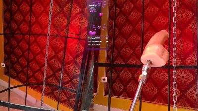 BBWHijab webcam model stream image