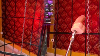 BBWHijab webcam model stream image