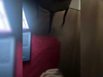 OlyaCharme webcam bongacams model stream image