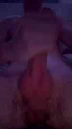 axlpr webcam model stream image