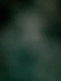 Vintermelon2 webcam model stream image