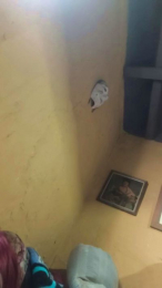 naza35_xxx webcam model stream image