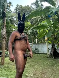 DragonLover_93 webcam model stream image