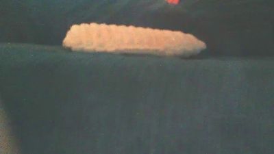 Natalia4cum webcam model stream image