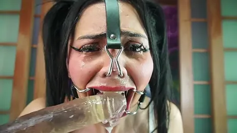 miss___anastasia webcam model stream image