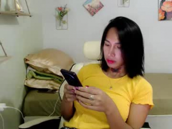 snow_2000 webcam model stream image