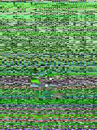 follladorr webcam stripchat model stream image