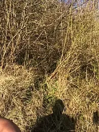 Footeux20cm webcam model stream image