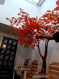 Dante_Knox webcam model stream image