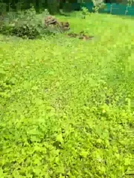 Indiaguy4u webcam model stream image