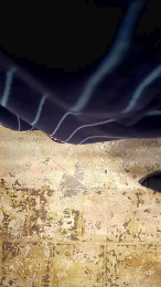 zoomerdk webcam model stream image