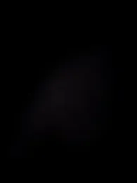 Alexvit2616 webcam model stream image