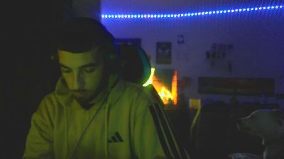 Meastroboris95 webcam model stream image