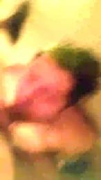 Pichulonko20cm webcam model stream image