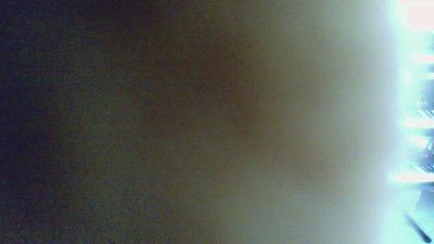 pacha2014 webcam model stream image