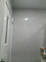 divid10206 webcam model stream image