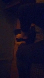 Spaccaculi23 webcam model stream image