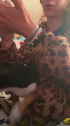 LaNitida webcam model stream image