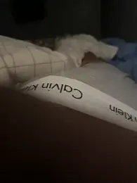 Diggaoder webcam model stream image