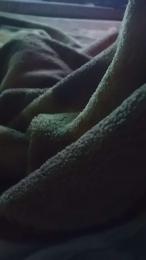 fedex02 webcam model stream image