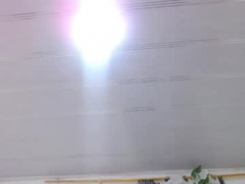 curiuscouplehot webcam model stream image