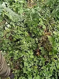 BiketravelChat webcam model stream image