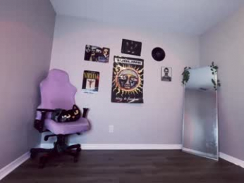 hexivu webcam model stream image