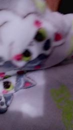 bellajade1985 webcam model stream image