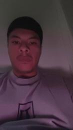 Pyro20 webcam model stream image