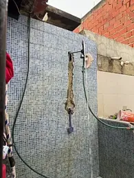 MrLeoLatino webcam model stream image