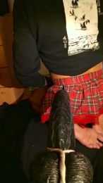 rdmas904 webcam model stream image