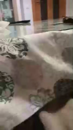 xulo40 webcam model stream image