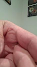 Didhyeres webcam model stream image