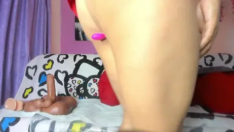 Niki_Fox111 webcam stripchat model stream image