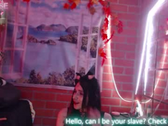 foxy_pet2 webcam model stream image