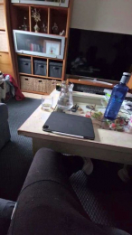 Isisytomy webcam model stream image