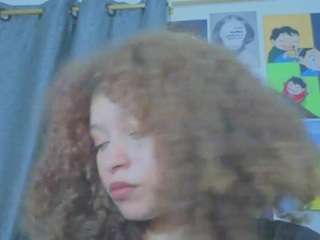 ada-gales webcam model stream image