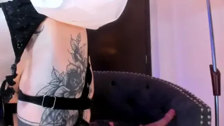 zephirahabney stripchat stream image