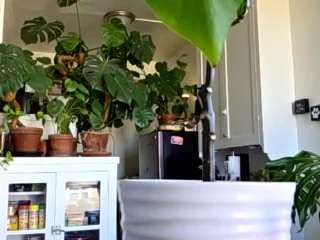 sexysagittarius1212 camsoda stream image