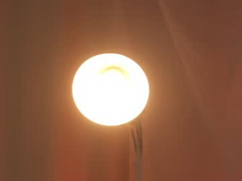 sunny_maria chaturbate stream image