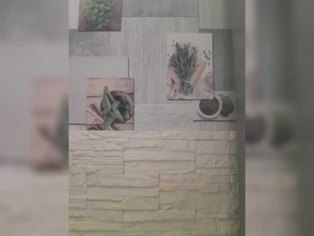 Anesteishen bongacams stream image