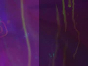 heybanan chaturbate stream image