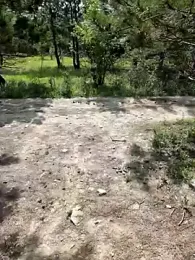 -Pupsiki- stripchat stream image