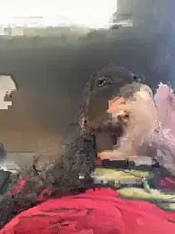 Bigbuttbrooklynn stripchat stream image