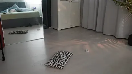 seeunexttime0 stripchat stream image